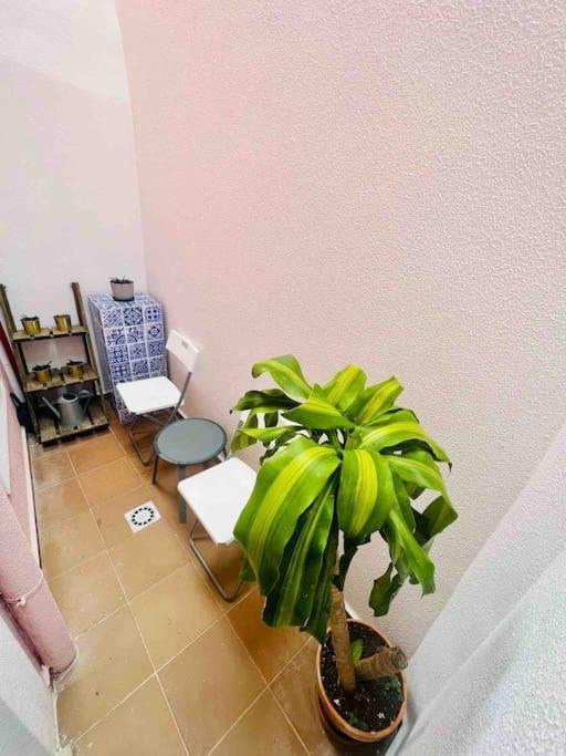 Graca Home Lisboa Eksteriør billede
